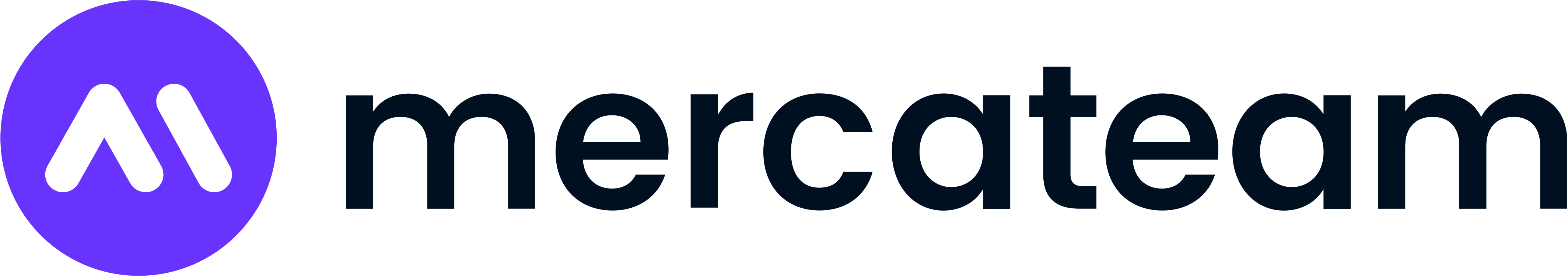 Logo_Mercateam_Noir_Violet (1)